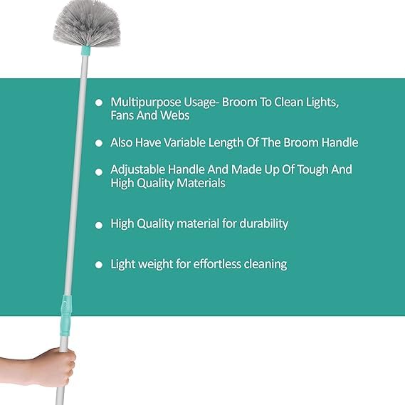 Cobweb Duster